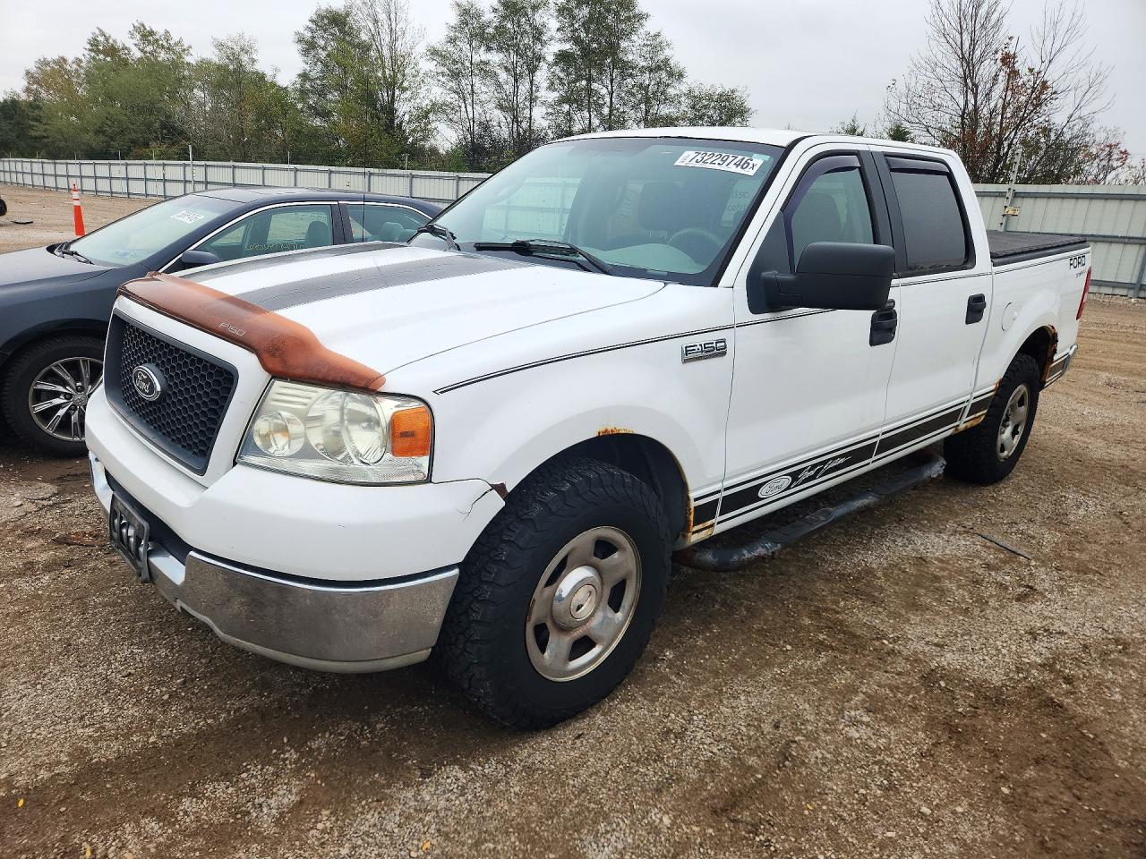 2005 FORD F150 SUPERCREW | 1FTPW12535KC35029 | UPCARS