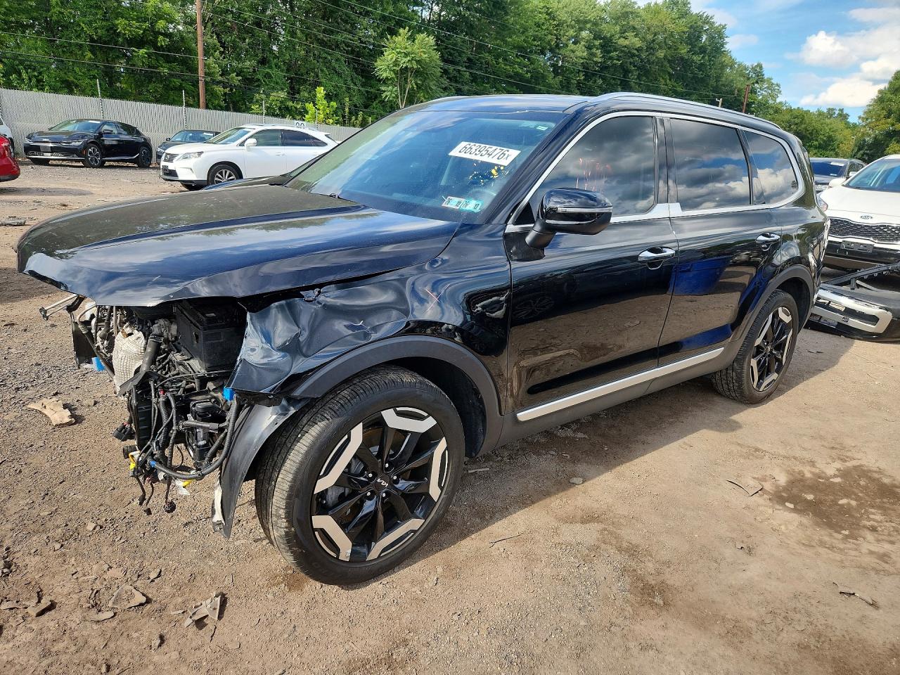 2023 KIA TELLURIDE S | 5XYP6DGC3PG366317 | UPCARS