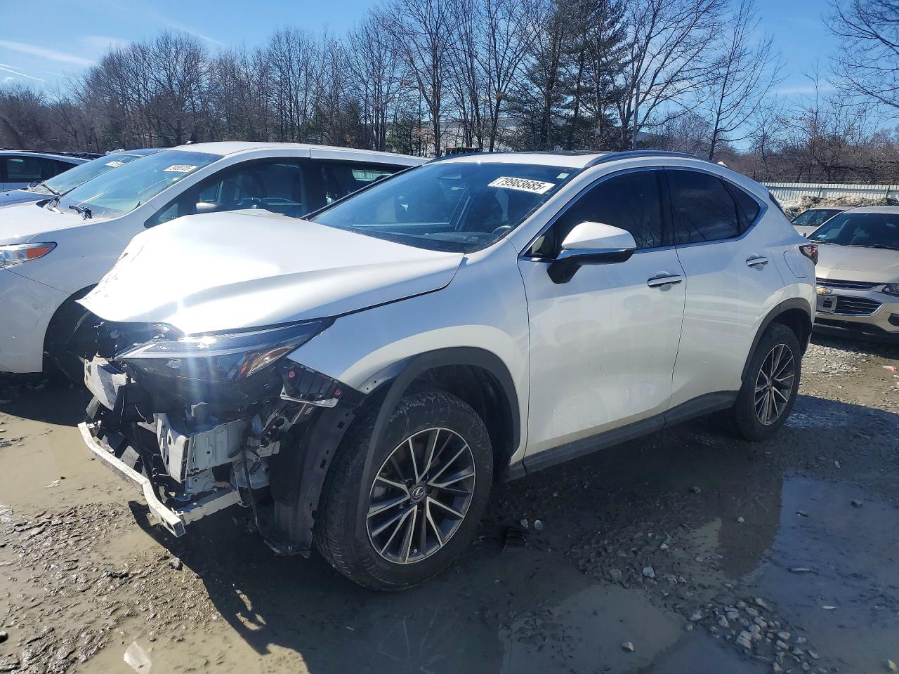 2022 LEXUS NX BASE | JTJAGCEZ1N5000847 | UPCARS