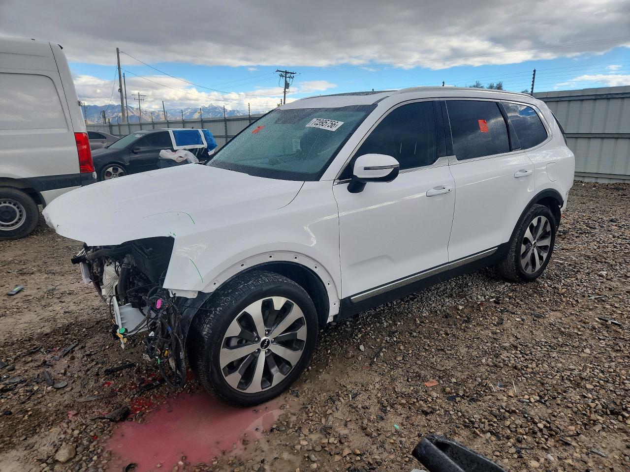 2022 KIA TELLURID EX | 5XYP34HC8NG276892 | UPCARS