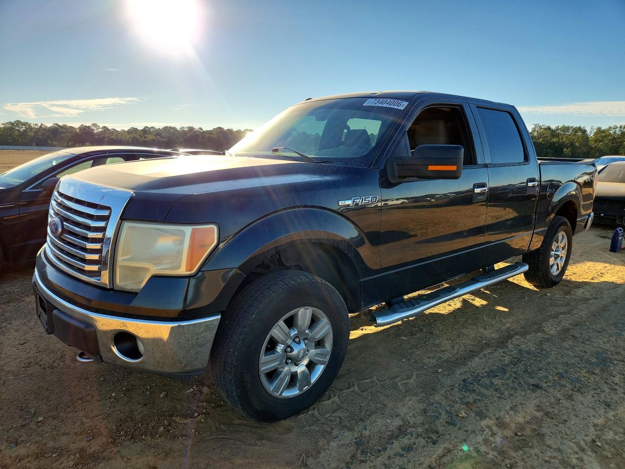 2010 FORD F150 SUPERCREW | 1FTFW1EV7AFC23119 | UPCARS