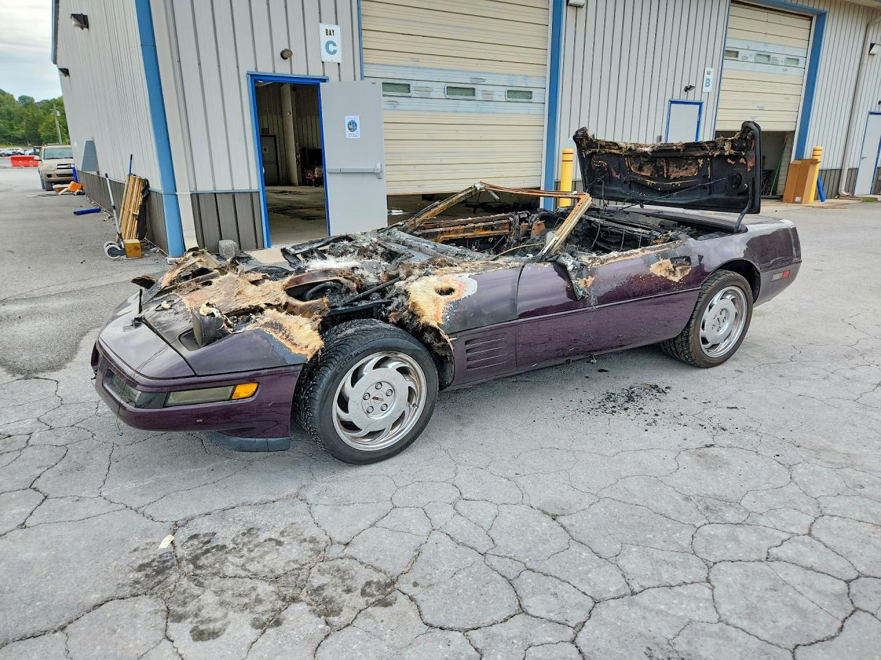 1992 CHEVROLET CORVETTE | 1G1YY33P2N5110606 | UPCARS