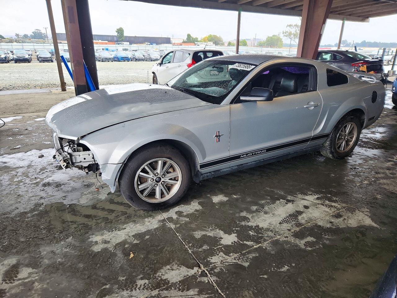 2005 FORD MUSTANG | 1ZVFT80N955260299 | UPCARS