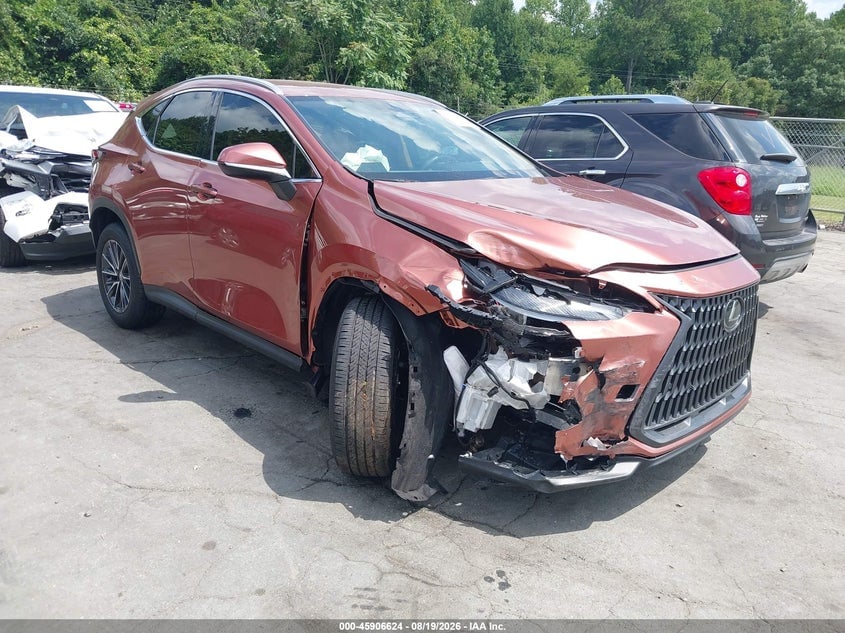 2025 LEXUS NX 250 | 2T2ADCAZ4SC031215 | UPCARS