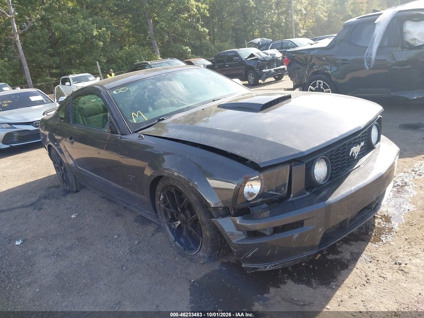 2007 FORD MUSTAN GT DELUXE/GT PREMIUM | 1ZVHT82H875235865 | UPCARS