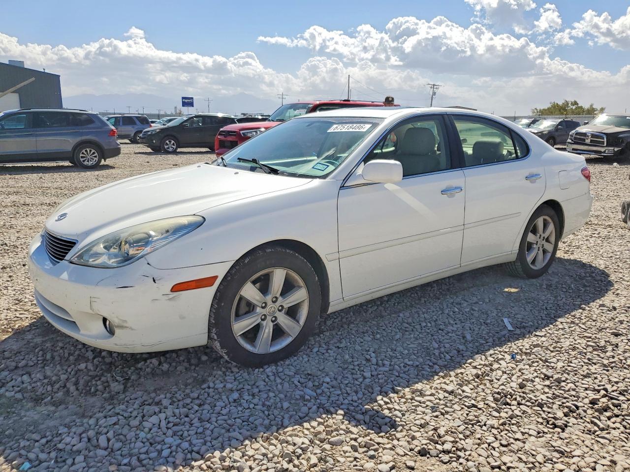 2005 LEXUS ES 330 | JTHBA30G355130920 | UPCARS