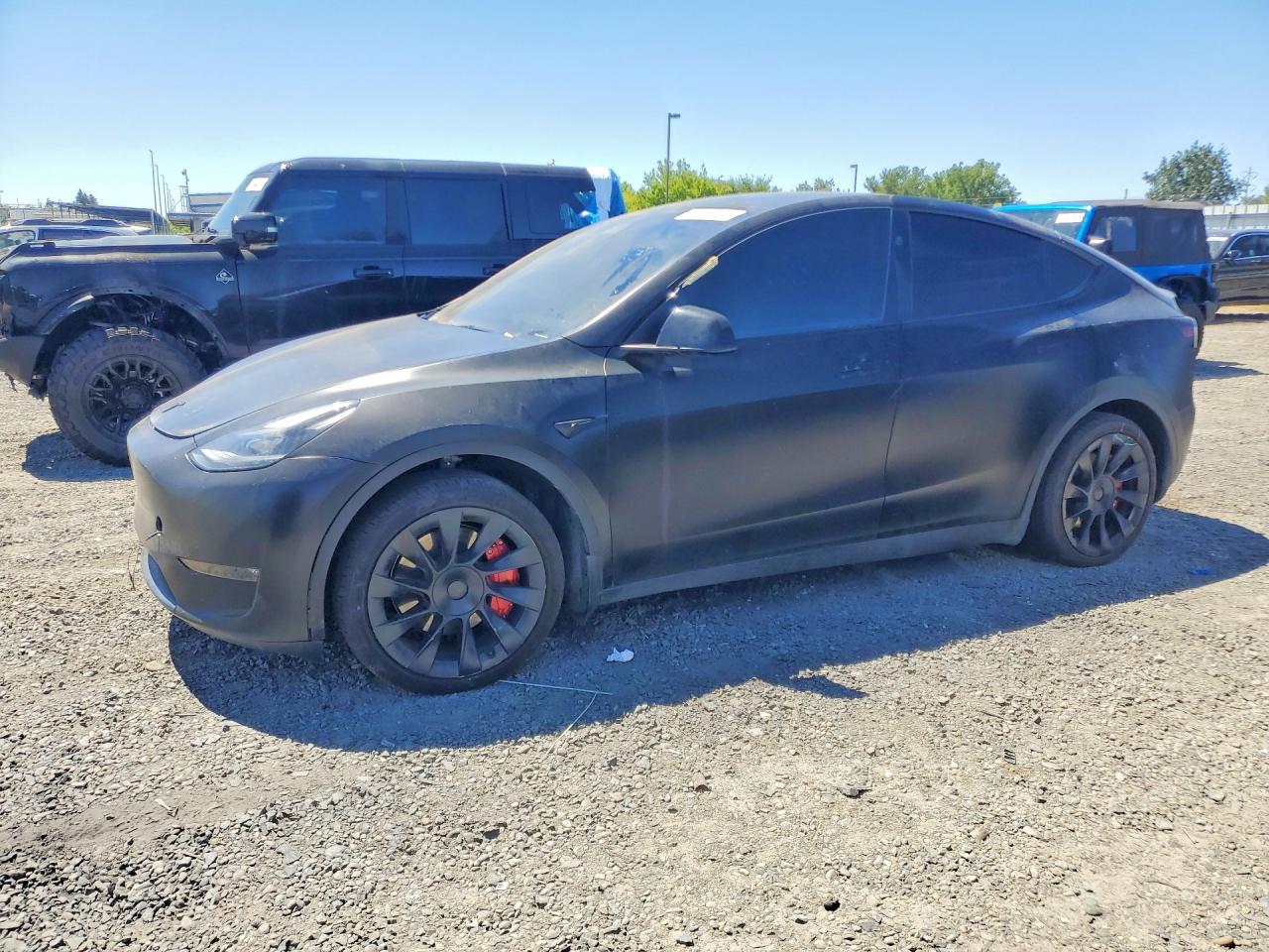 2024 TESLA MODEL Y | 7SAYGAEE9RF178743 | UPCARS