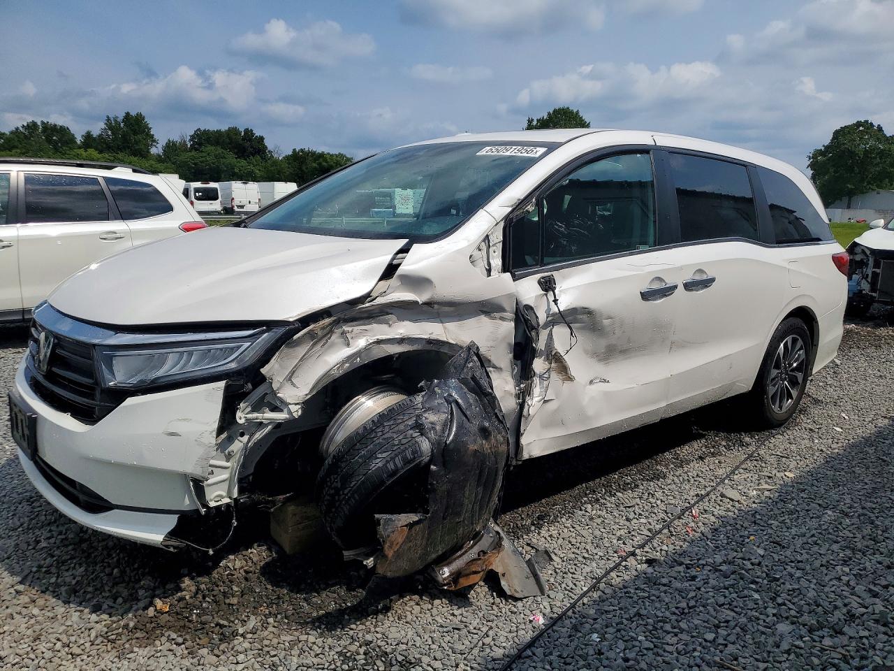 2023 HONDA ODYSSEY EXL | 5FNRL6H66PB073475 | UPCARS