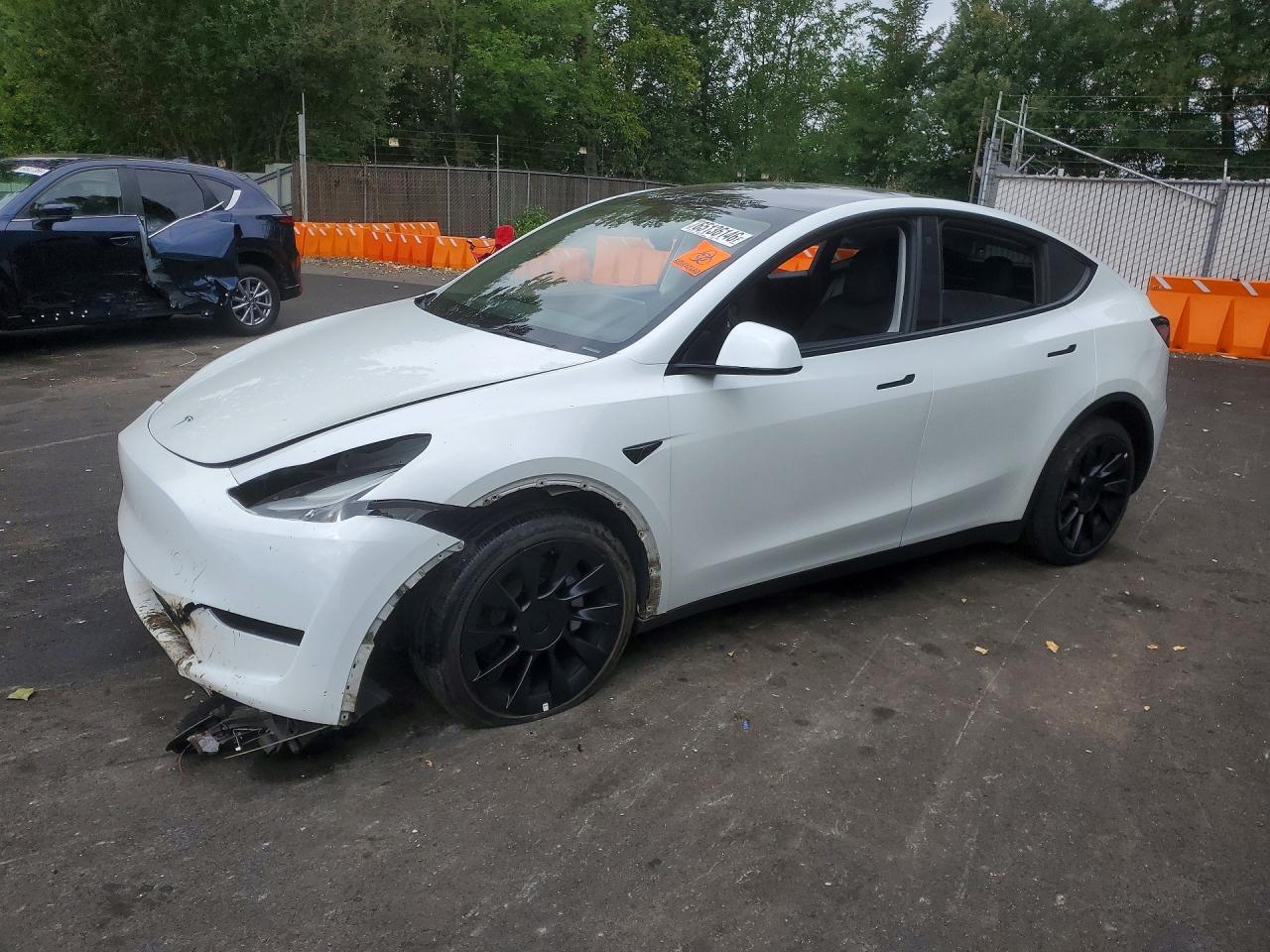 2023 TESLA MODEL Y | 7SAYGDEEXPF685715 | UPCARS
