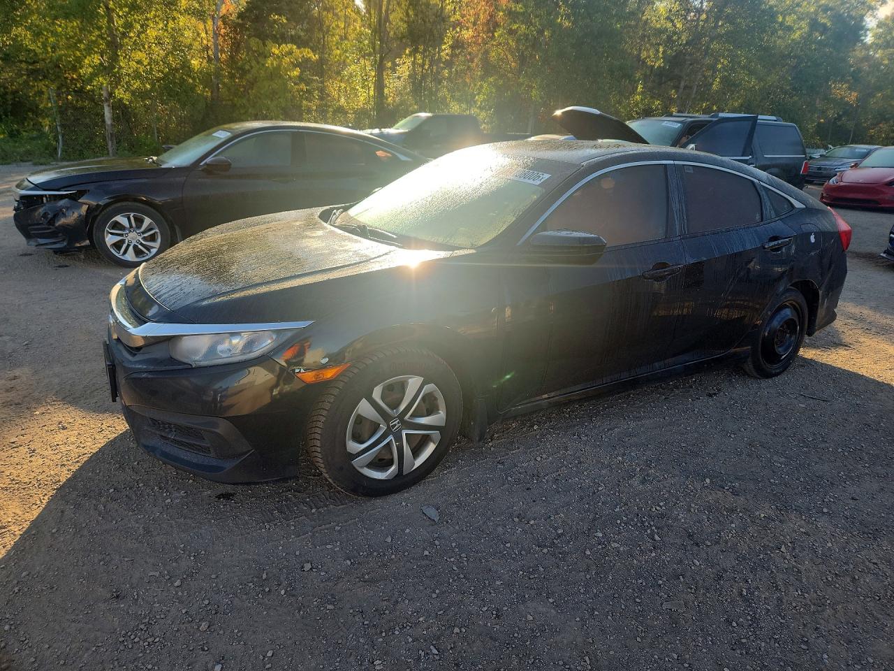 2016 HONDA CIVIC LX | 2HGFC2F54GH017598 | UPCARS