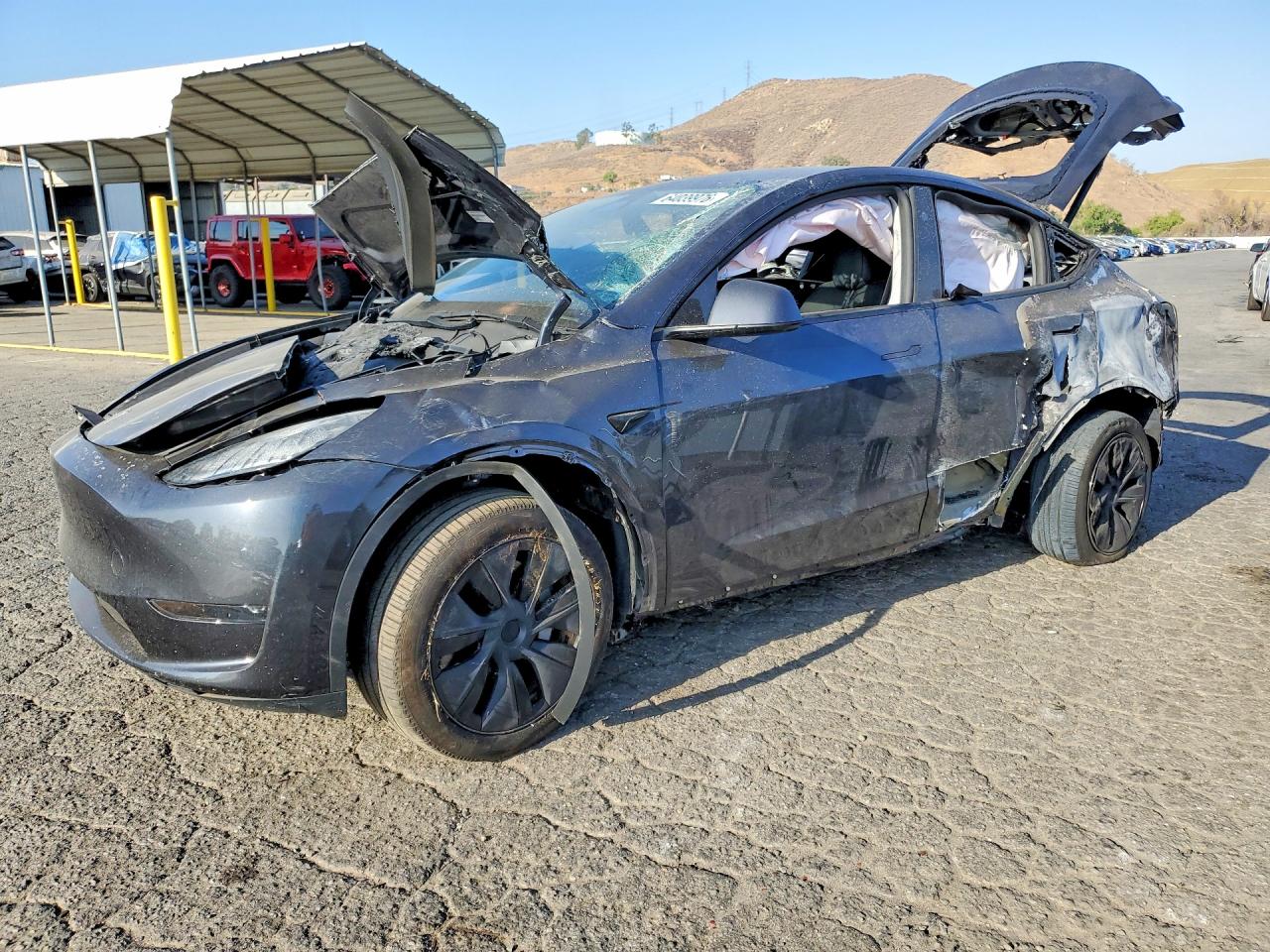 2025 TESLA MODEL Y | 7SAYGDED1SF250940 | UPCARS
