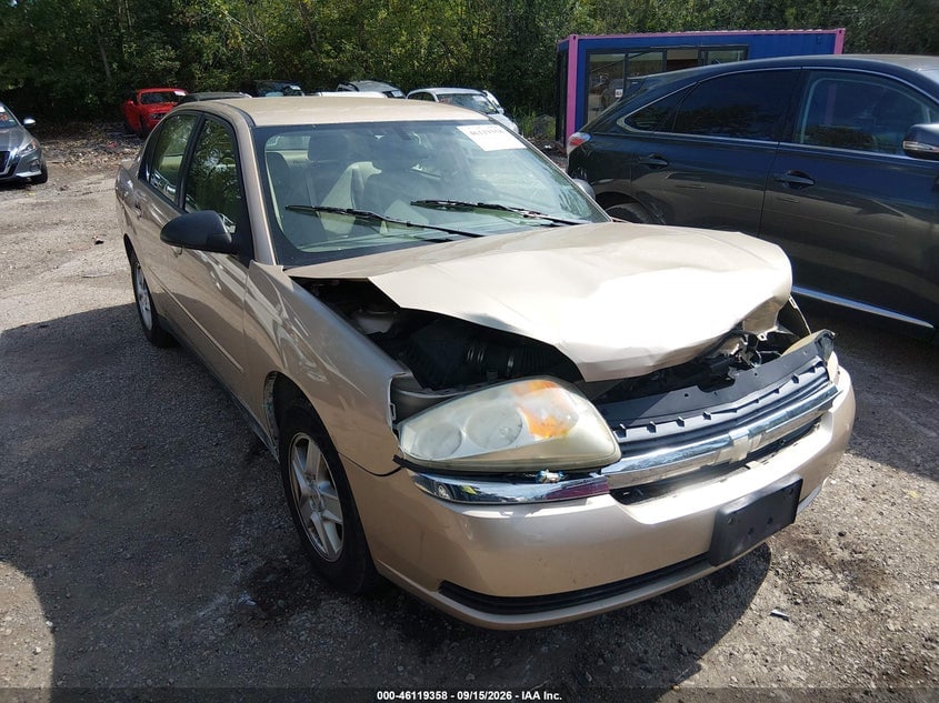 2004 CHEVROLET MALIBU LS | 1G1ZT54854F246419 | UPCARS