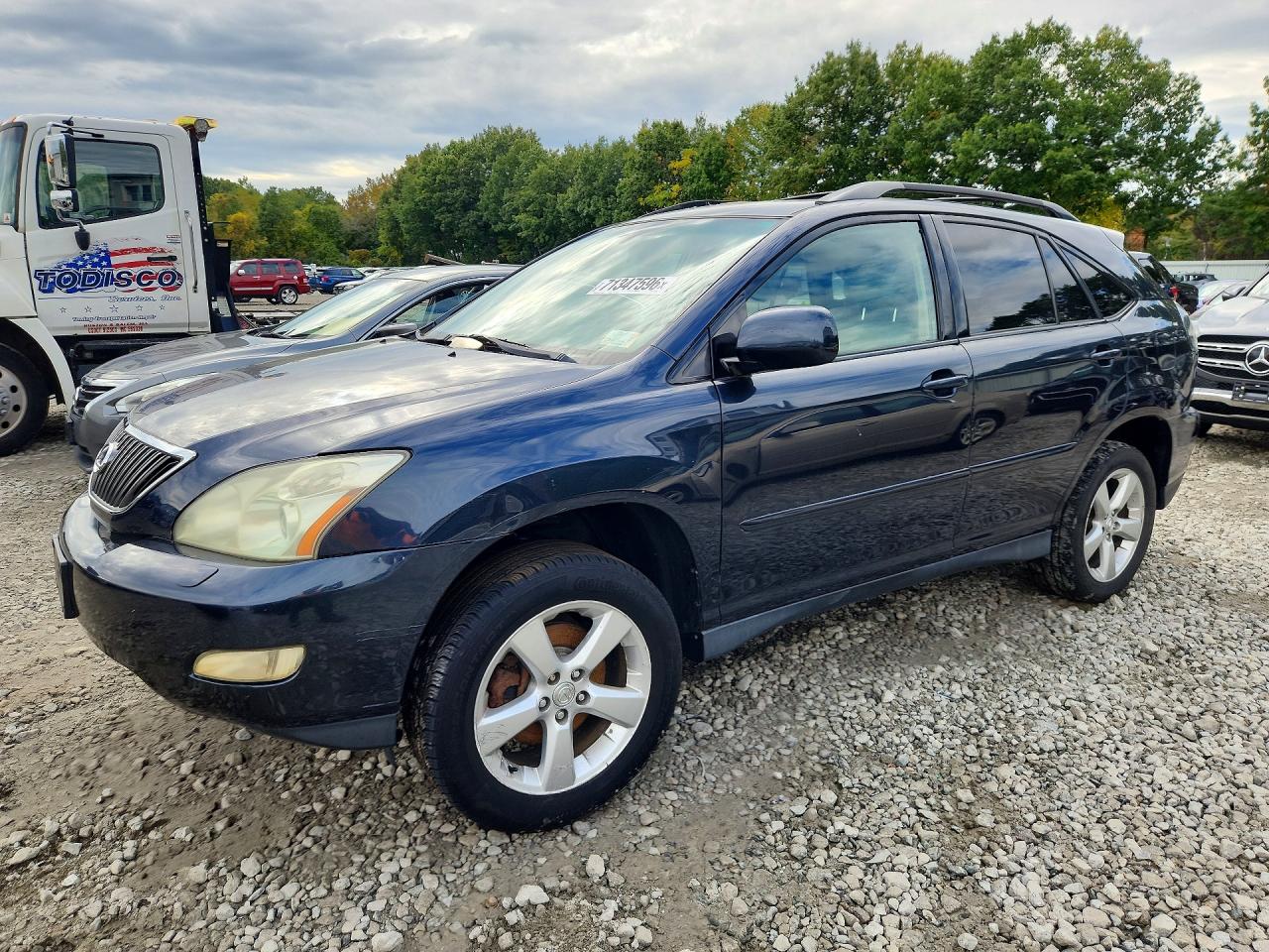 2004 LEXUS RX 330 | JTJHA31U440019625 | UPCARS