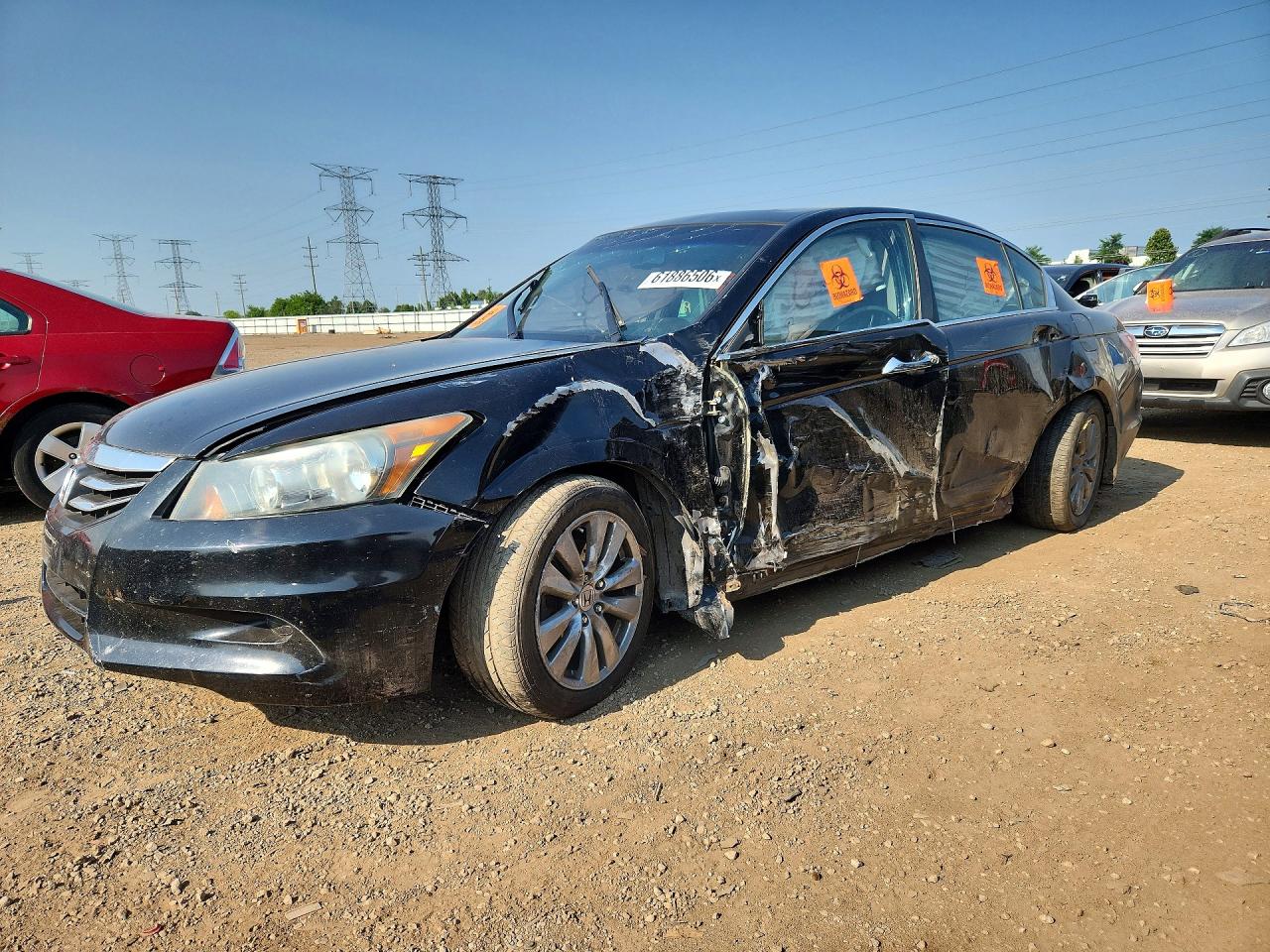 2011 HONDA ACCORD EXL | 1HGCP3F82BA031885 | UPCARS