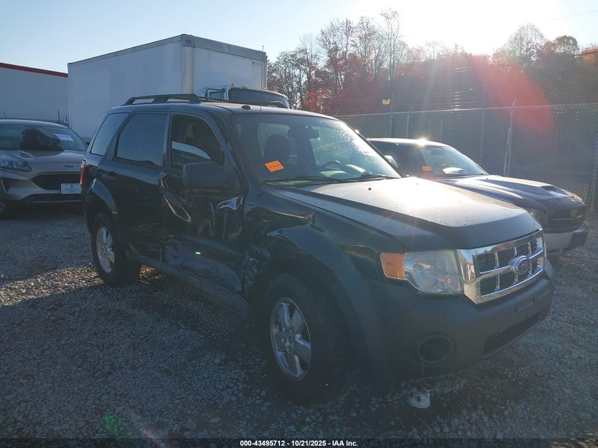 2011 FORD ESCAPE XLT | 1FMCU0DG2BKB89701 | UPCARS