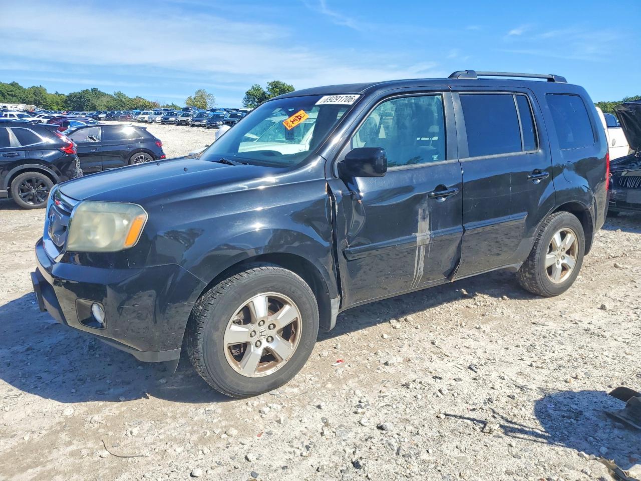2009 HONDA PILOT EXL | 5FNYF48589B039278 | UPCARS