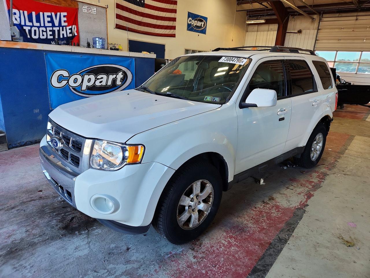 2010 FORD ESCAPE LIMITED | 1FMCU0EG4AKB77742 | UPCARS