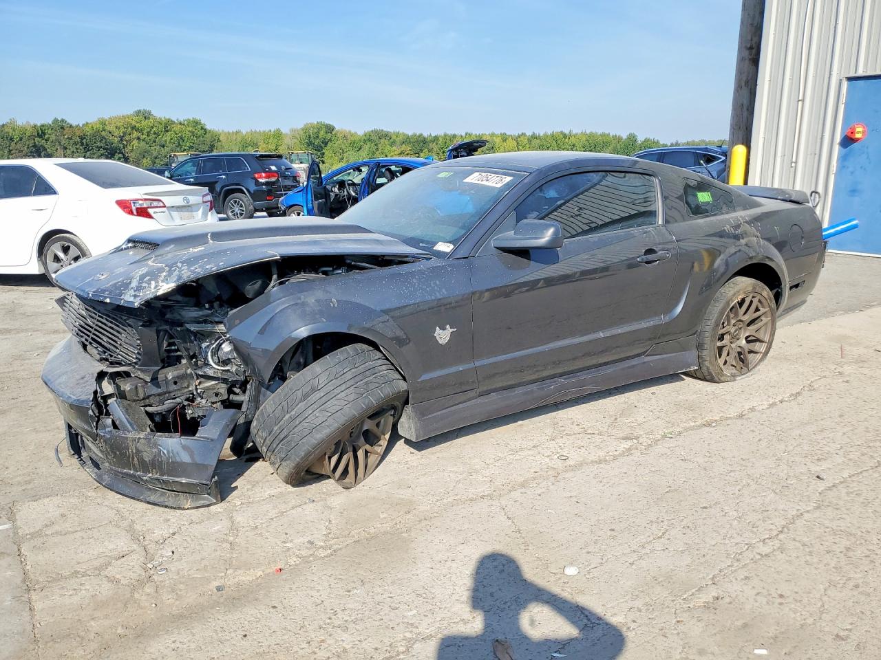 2009 FORD MUSTAN GT | 1ZVHT82H395126989 | UPCARS