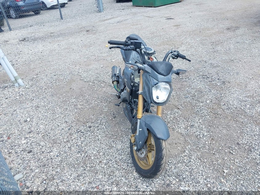 2024 KAWASAKI BR125 J | JKABRRJ17RDA31565 | UPCARS