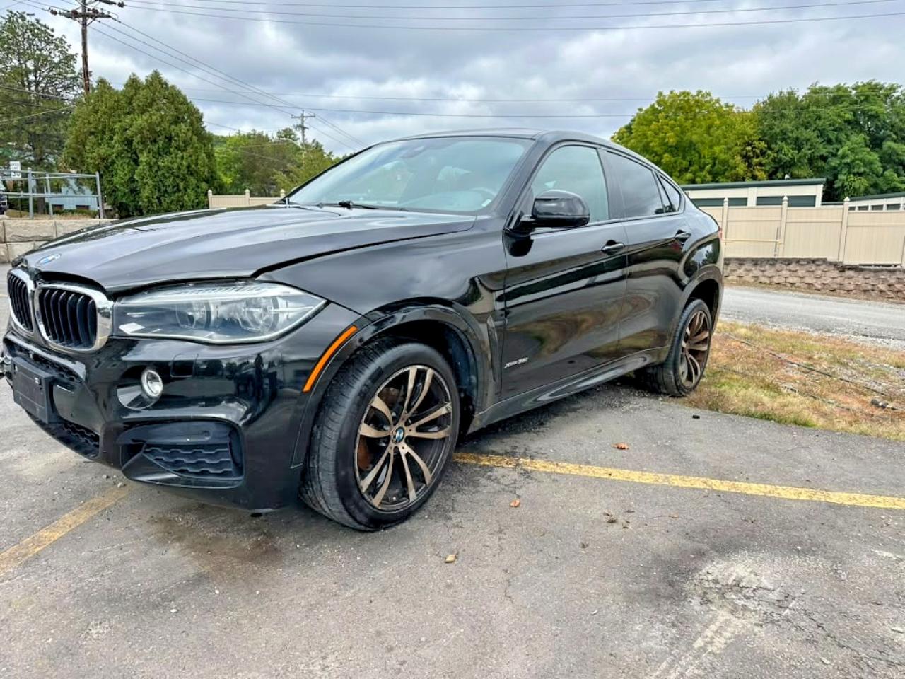 2016 BMW X6 XDRIVE35I | 5UXKU2C52G0N79436 | UPCARS