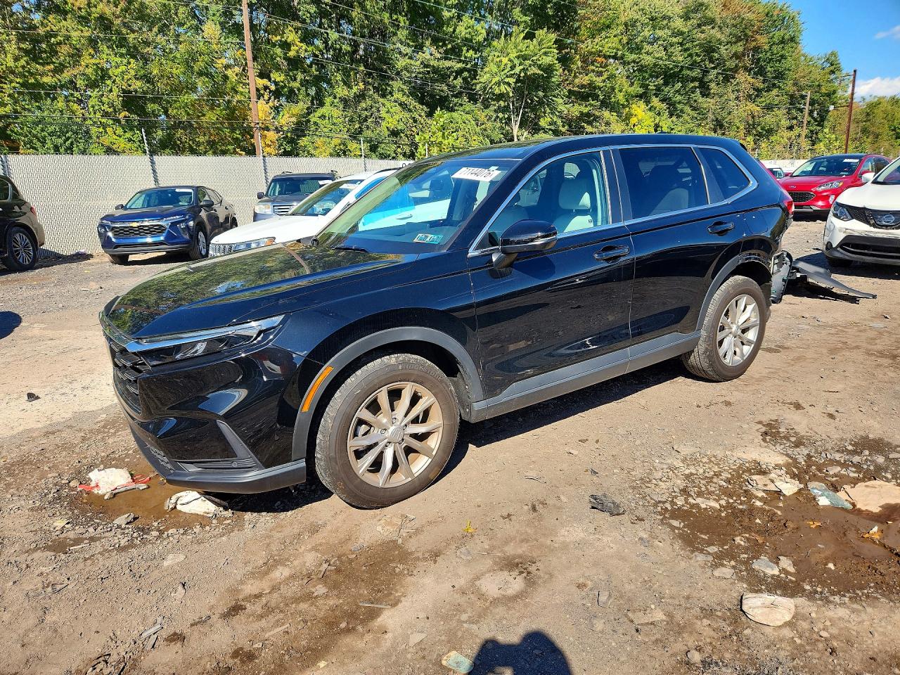 2025 HONDA CRV EXL | 2HKRS4H77SH468291 | UPCARS