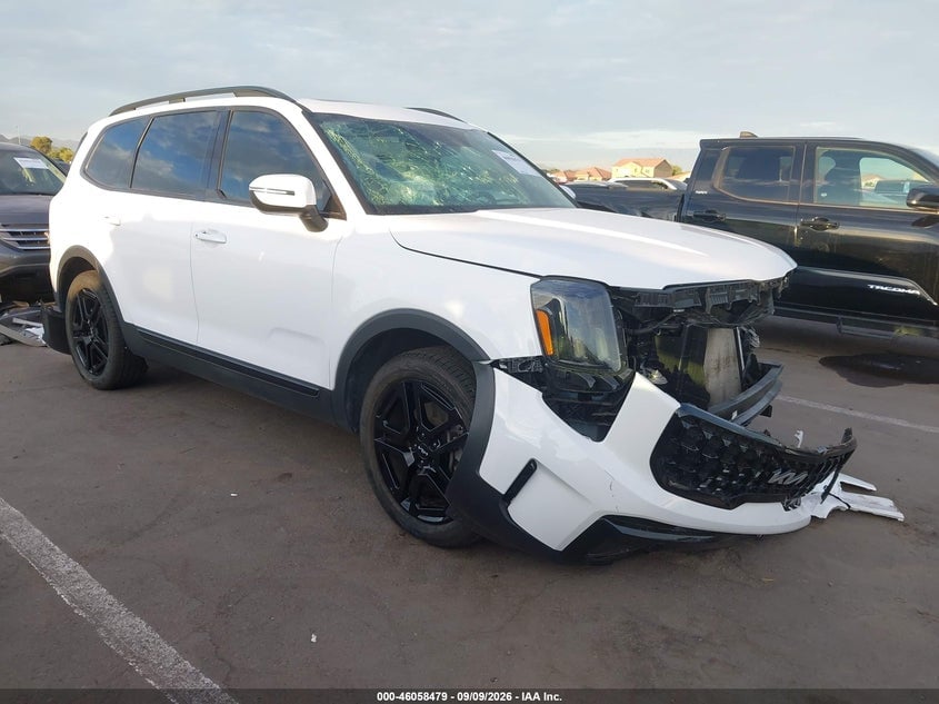 2024 KIA TELLURID EX X-LINE | 5XYP3DGC8RG536232 | UPCARS