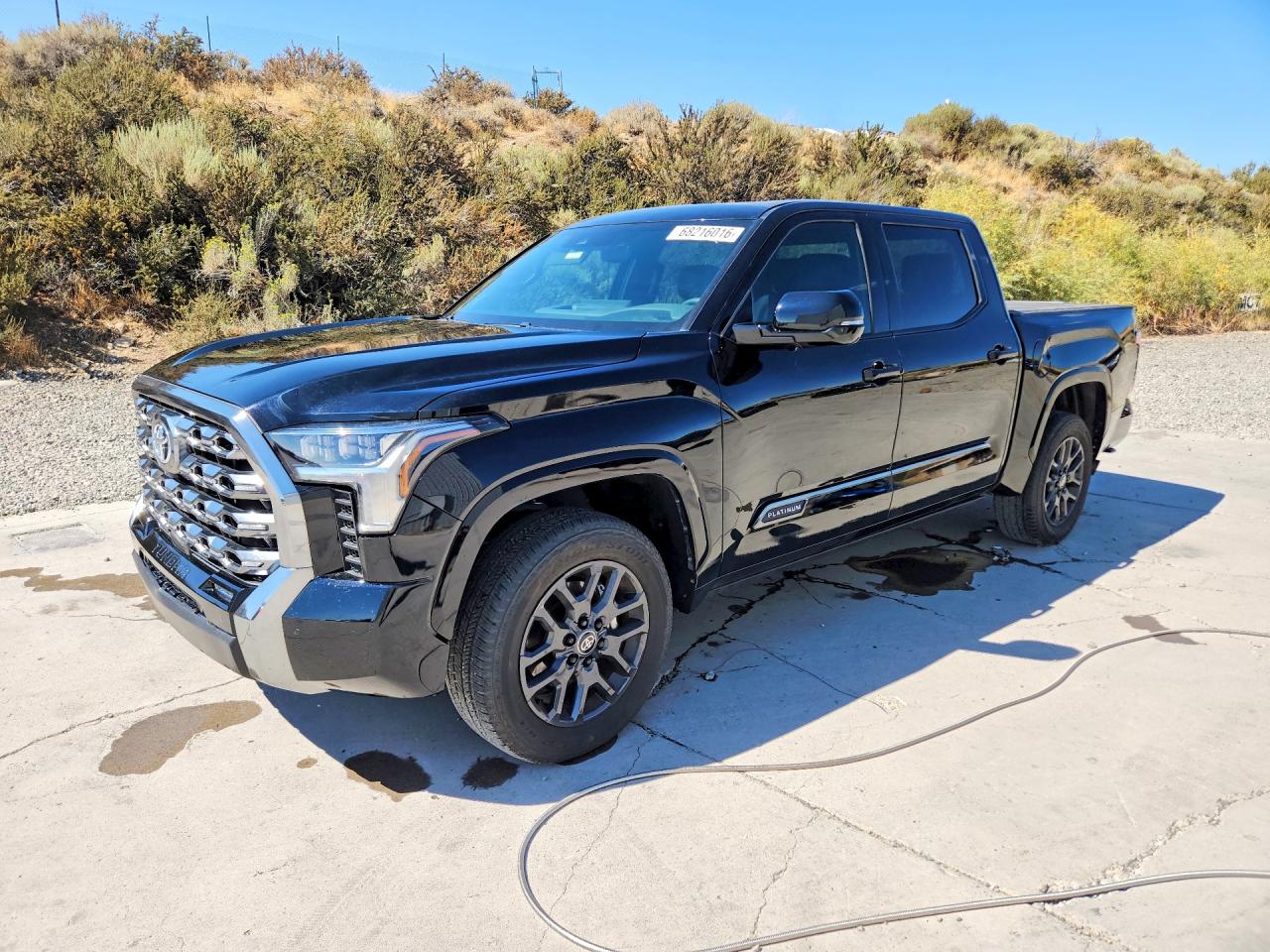 2025 TOYOTA TUNDRA PLATINUM | 5TFNA5DB6SX290945 | UPCARS
