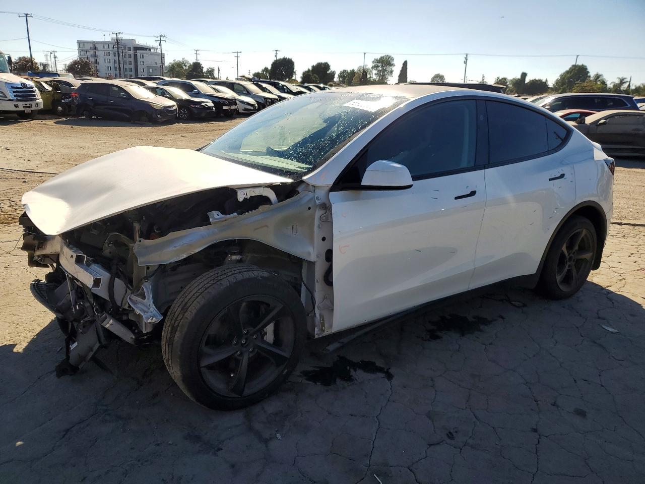 2026 TESLA MODEL Y | 7SAYGDEE3TF531650 | UPCARS