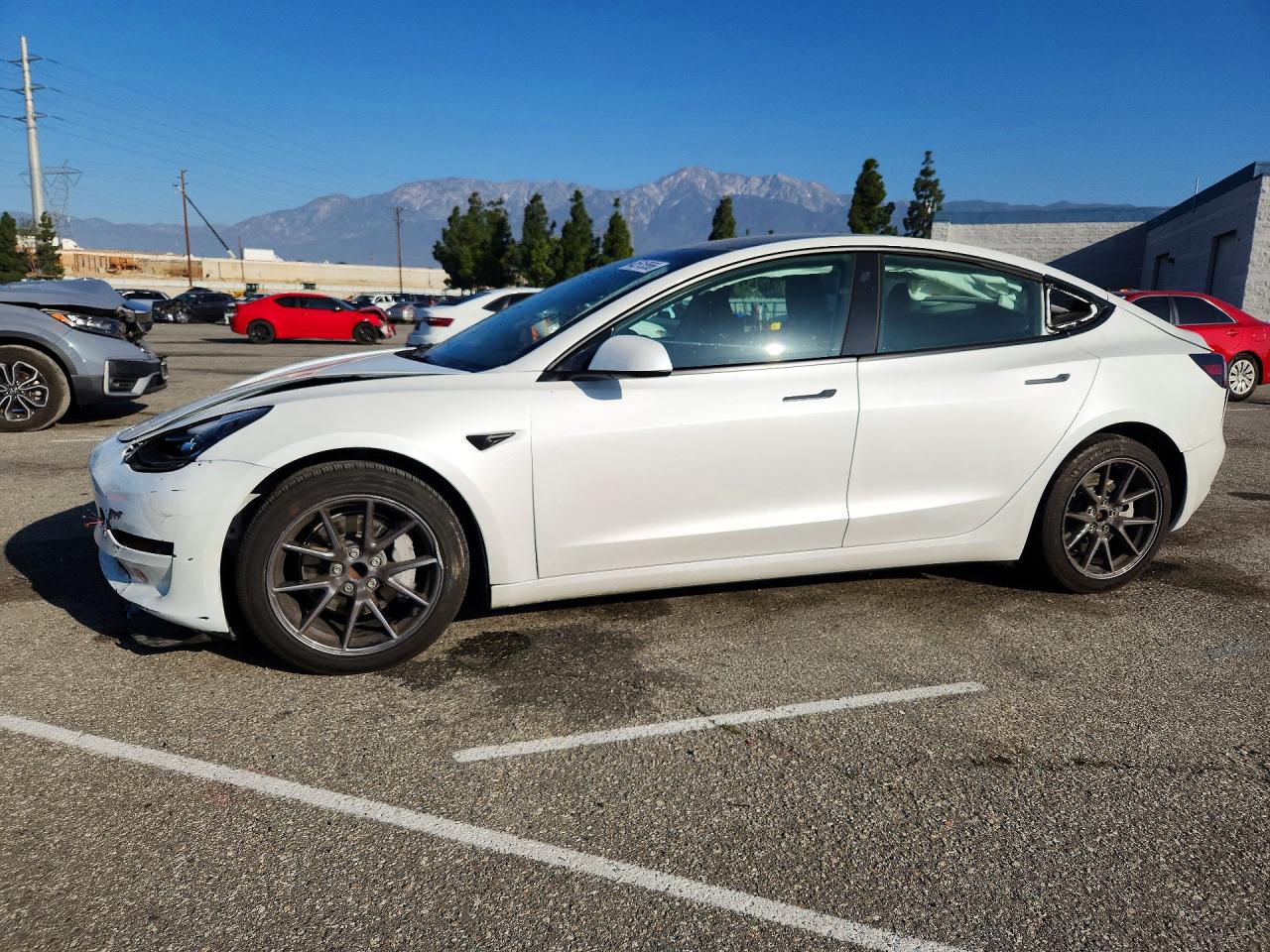2023 TESLA MODEL 3 | 5YJ3E1EA2PF572723 | UPCARS
