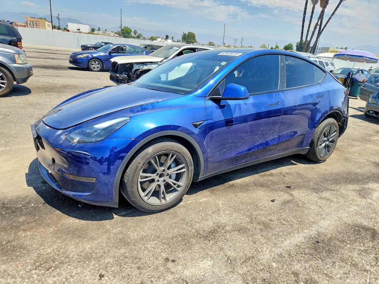 2024 TESLA MODEL Y | 7SAYGDED8RF094518 | UPCARS