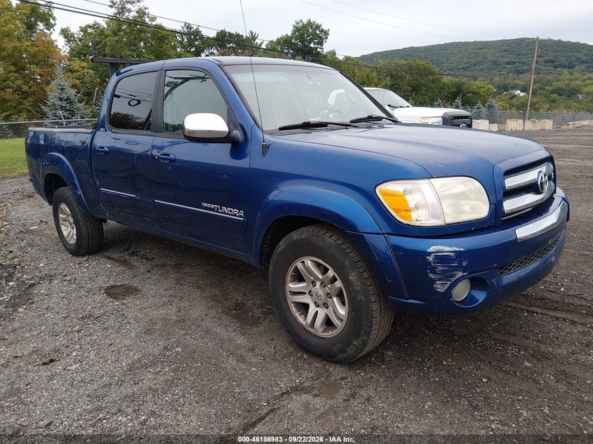2006 TOYOTA TUNDRA SR5 V8 | 5TBDT44196S548225 | UPCARS