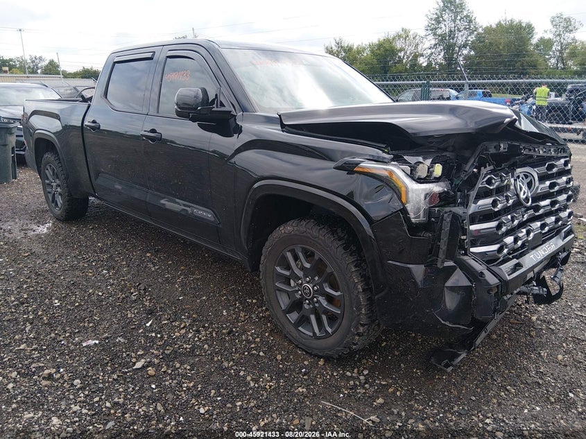 2022 TOYOTA TUNDRA PLATINUM | 5TFNA5EC5NX008144 | UPCARS