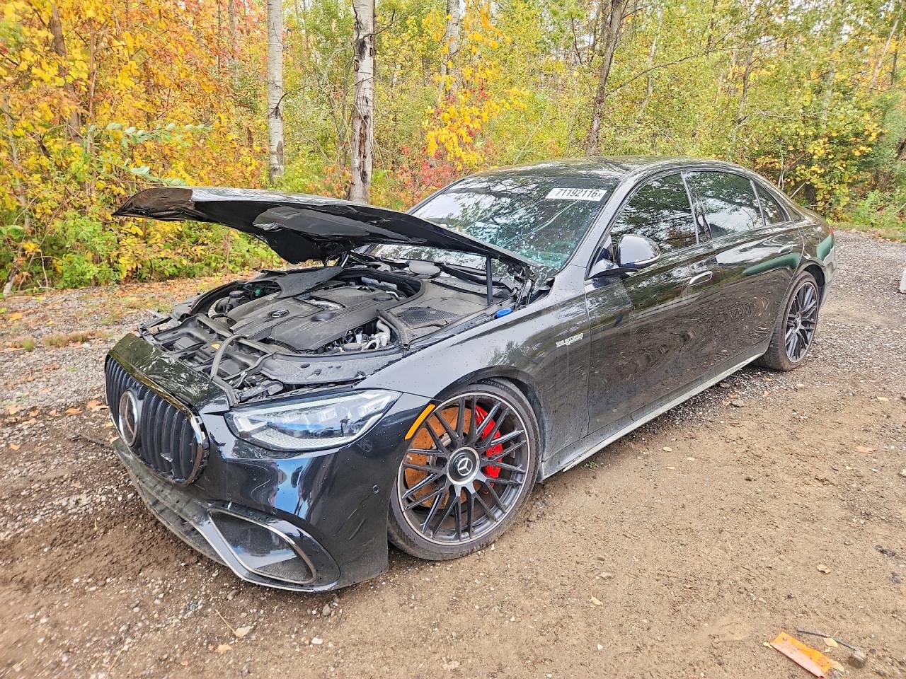 2025 MERCEDES-BENZ S-CLASS 63 E PERFORMANCE | W1K6G8CB7SA333459 | UPCARS