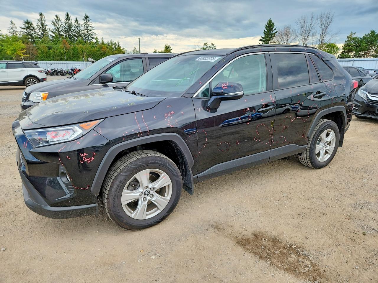 2019 TOYOTA RAV4 XLE | 2T3R1RFV1KC053396 | UPCARS