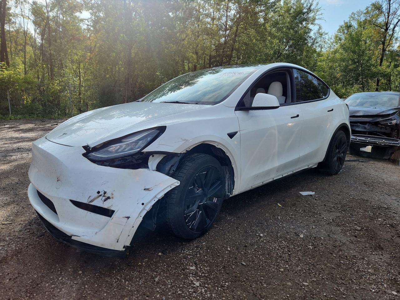 2023 TESLA MODEL Y | 7SAYGDEE9PF589364 | UPCARS