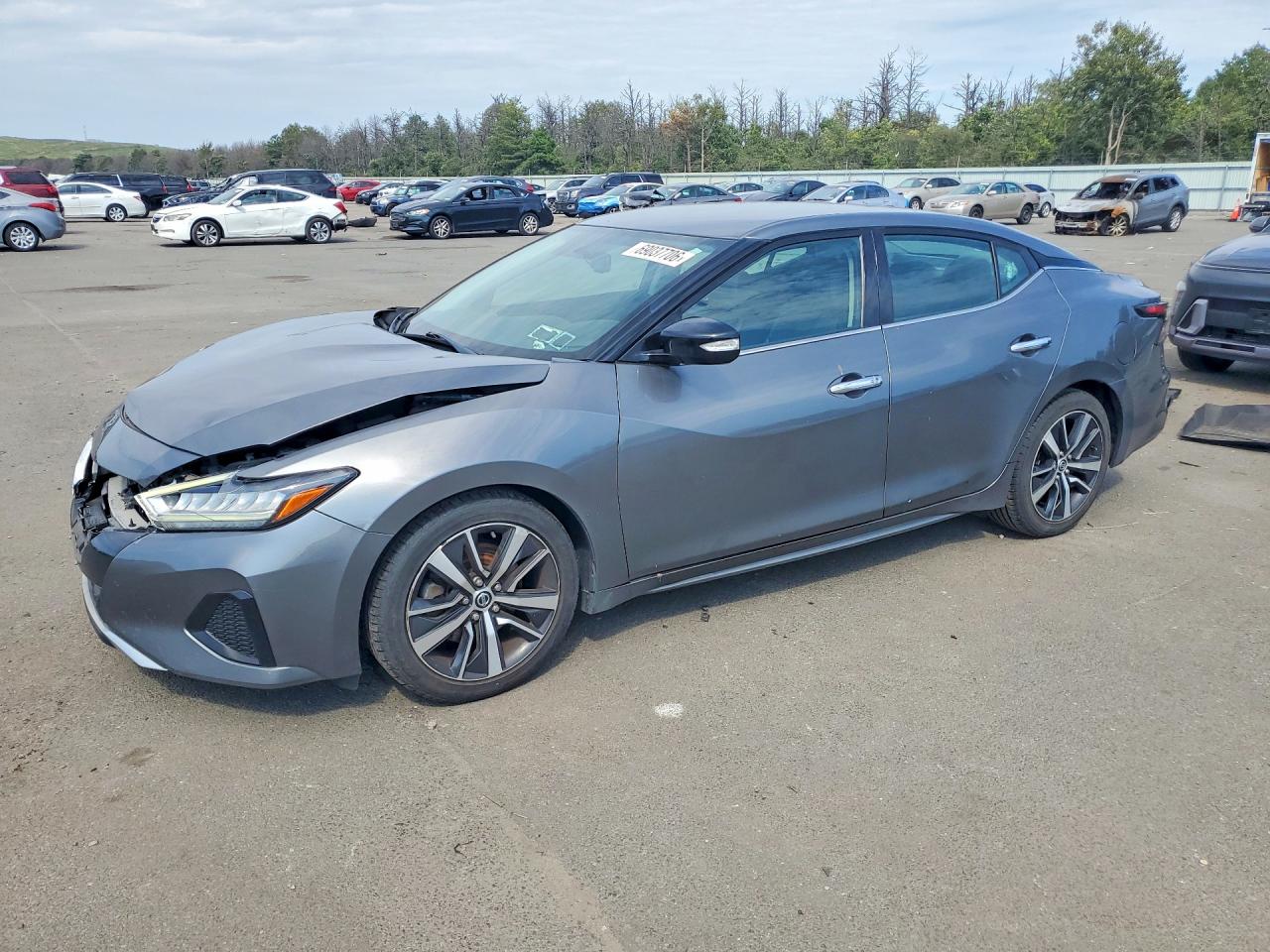2019 NISSAN MAXIMA 3.5 SV | 1N4AA6AV3KC365925 | UPCARS