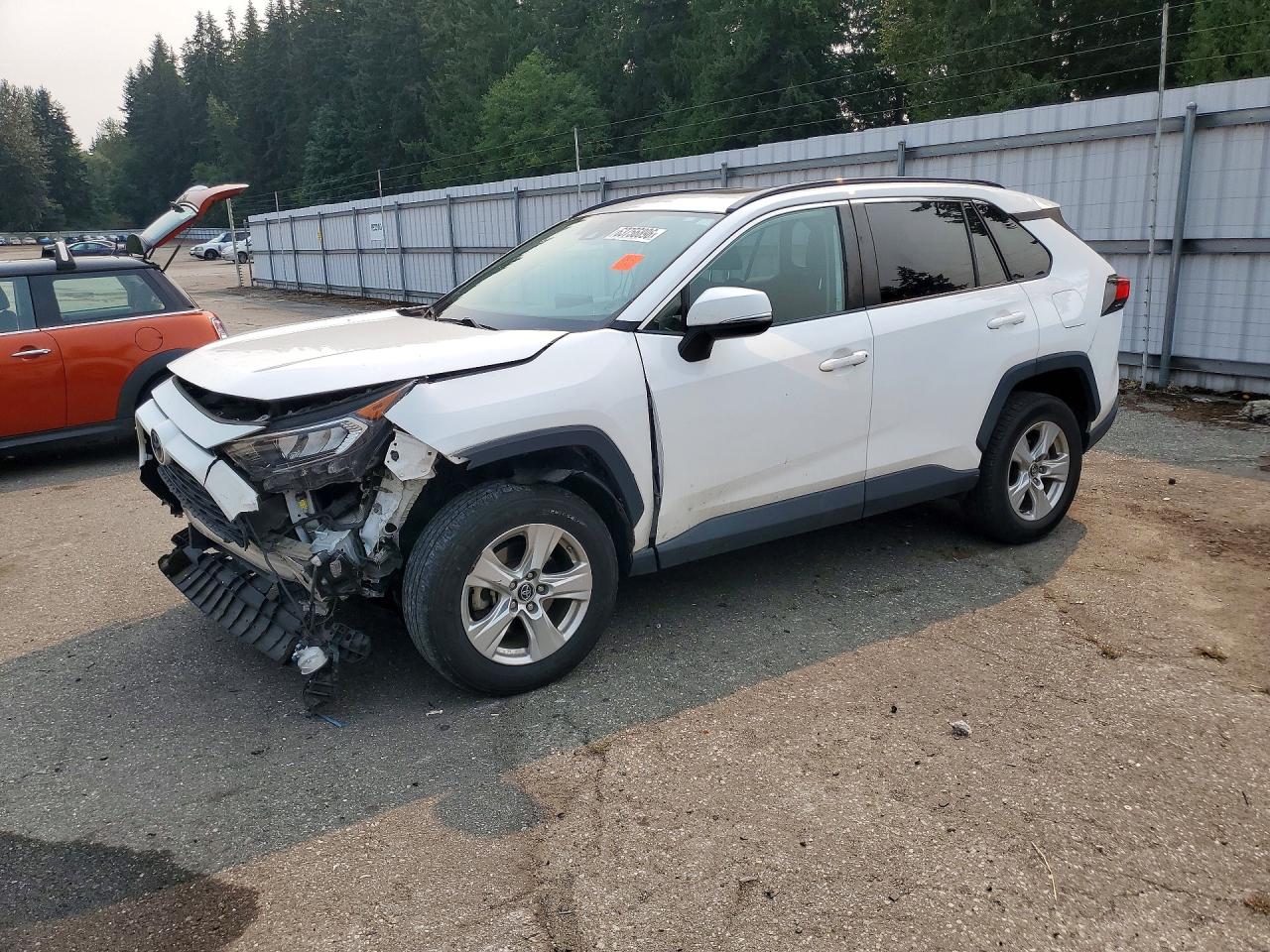 2019 TOYOTA RAV4 XLE | 2T3P1RFV4KC012297 | UPCARS