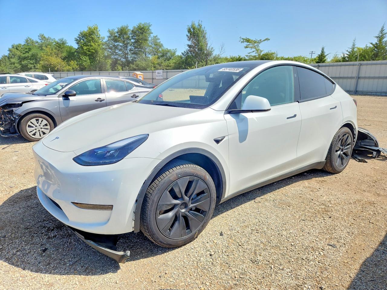 2025 TESLA MODEL Y | 7SAYGDEDXSF247860 | UPCARS