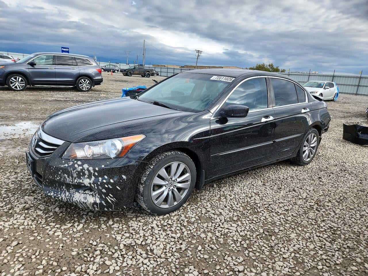 2011 HONDA ACCORD EXL | 1HGCP3F85BA026244 | UPCARS