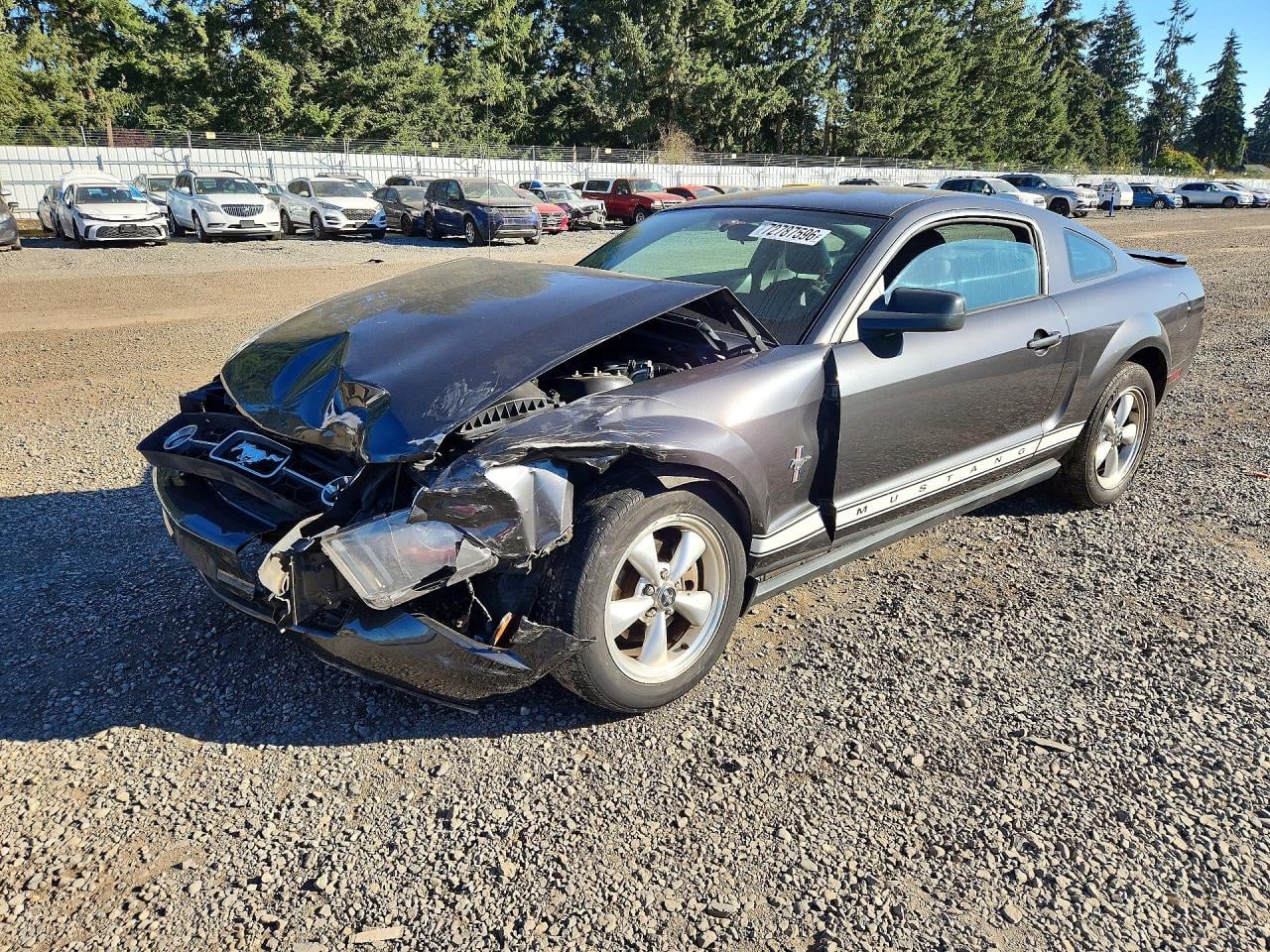 2007 FORD MUSTANG | 1ZVFT80N875212389 | UPCARS