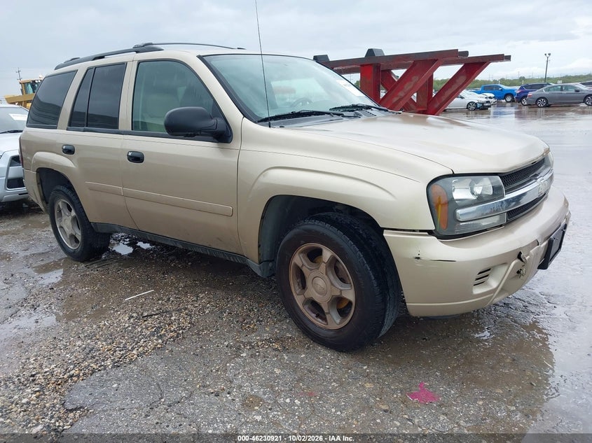 2006 CHEVROLET TRAILBLAZER LS | 1GNDS13S962351766 | UPCARS