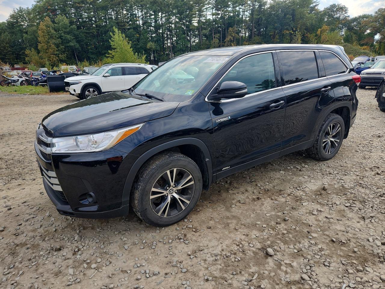 2019 TOYOTA HIGHLANDER LE | 5TDBGRFH5KS059115 | UPCARS