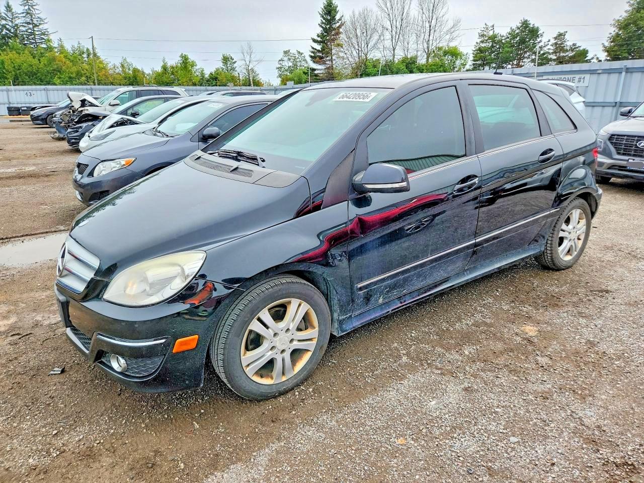 2009 MERCEDES-BENZ B-CLASS | WDDFH33X09J487548 | UPCARS