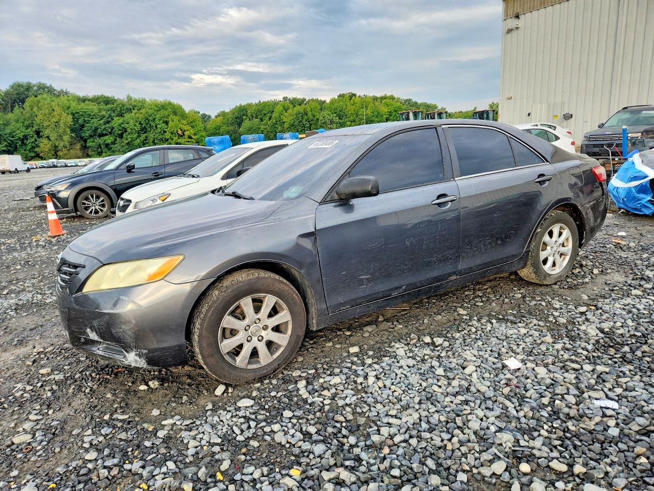 2009 TOYOTA CAMRY LE | 4T4BE46K49R053530 | UPCARS