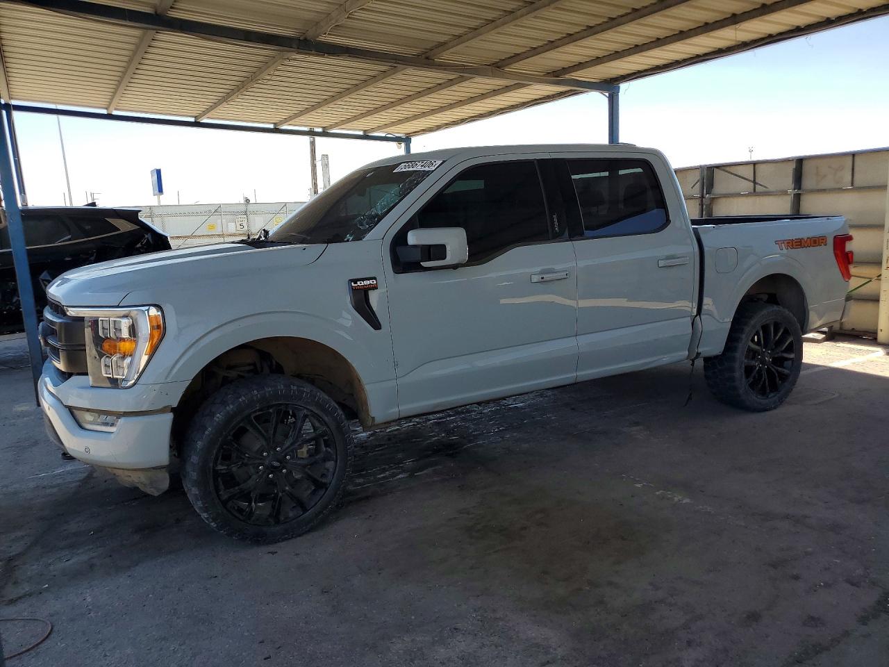 2023 FORD F-150 SUPERCREW | 1FTFW1ED7PFC13318 | UPCARS
