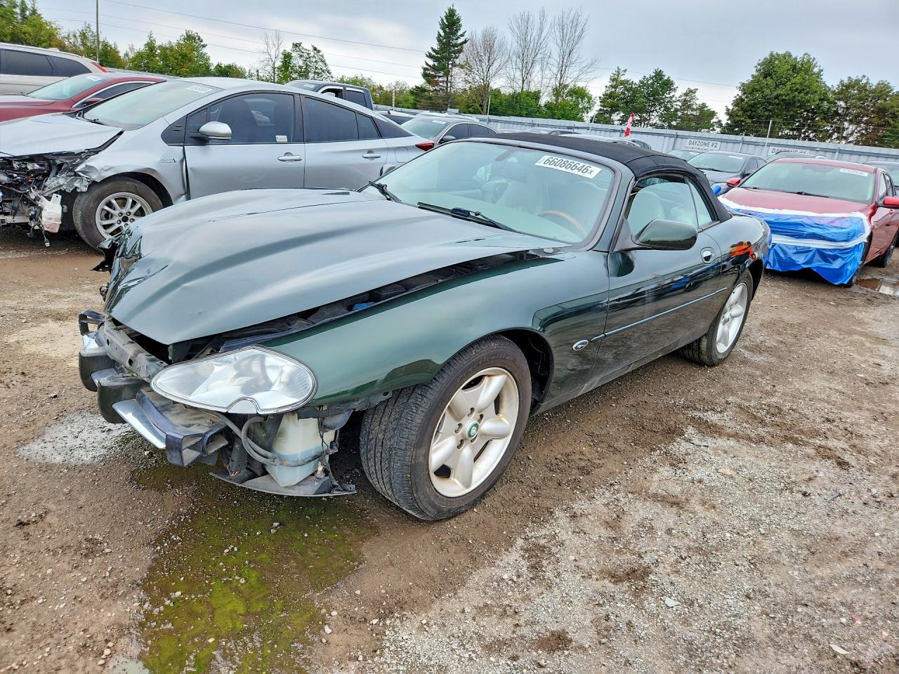 1997 JAGUAR XK8 | SAJGN2740VC009955 | UPCARS
