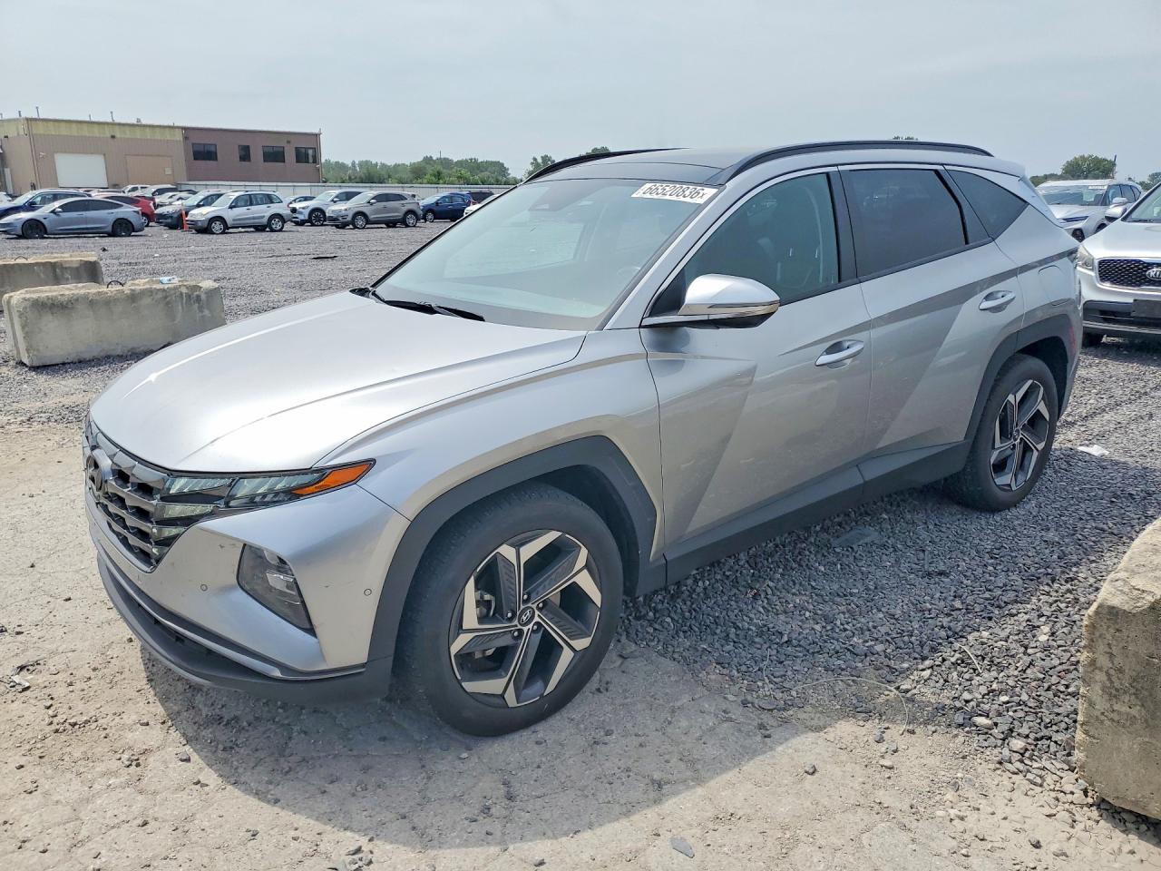 2024 HYUNDAI TUCSON LIMITED | 5NMJE3DE8RH403525 | UPCARS