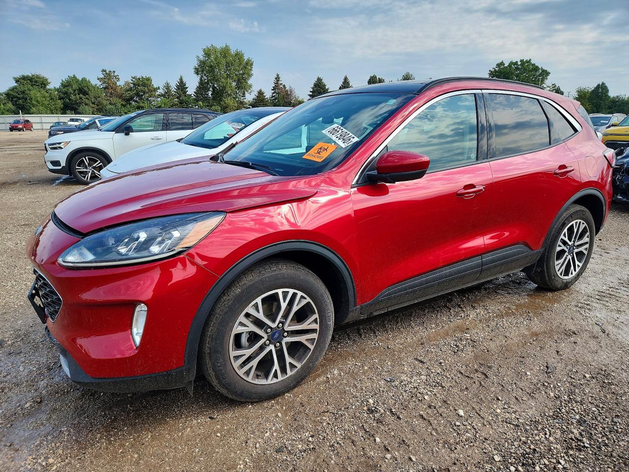 2020 FORD ESCAPE SEL | 1FMCU9H66LUC58045 | UPCARS