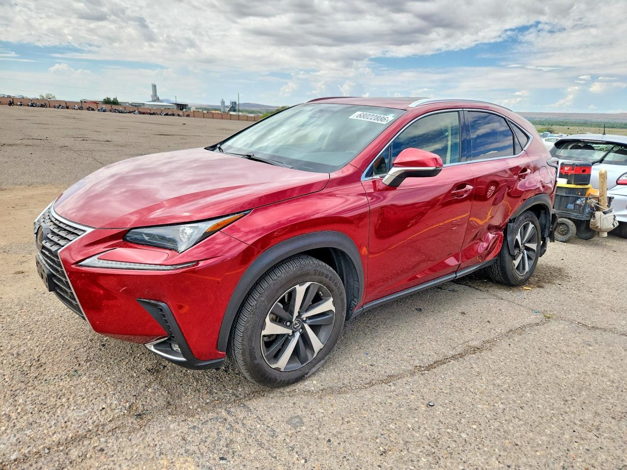 2020 LEXUS NX 300 | JTJGARBZ4L5007243 | UPCARS