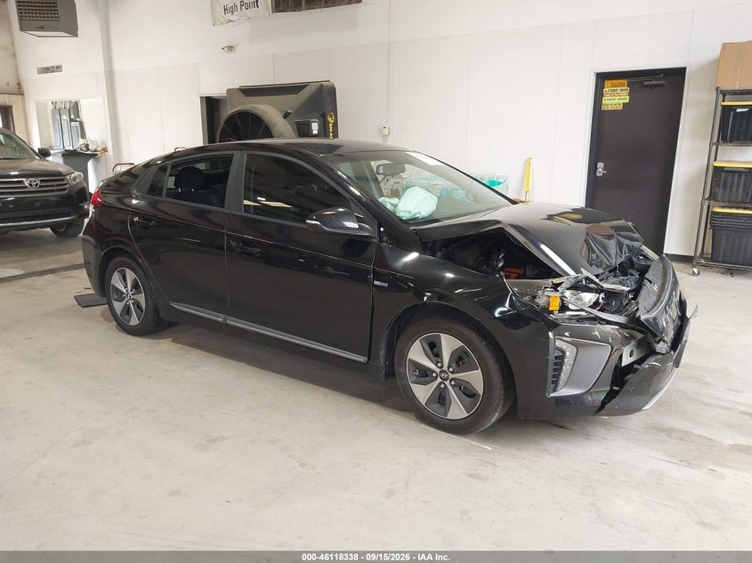 2019 HYUNDAI IONIQ ELECTRIC | KMHC75LH5KU044462 | UPCARS